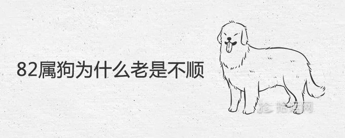 属狗的三大坎是什么