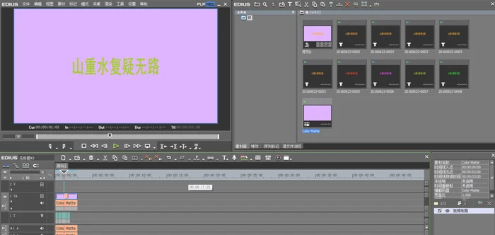 小灰熊字幕制作软件如何使用(视频剪辑软件Edius和Premiere使用体验)