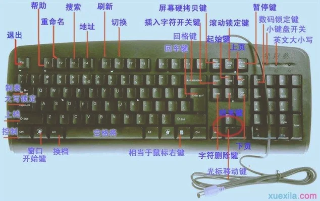 电脑键盘和鼠标没反应是什么原因