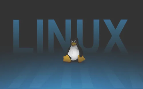 linux 软件卸载(Windows各种端口介绍说明)