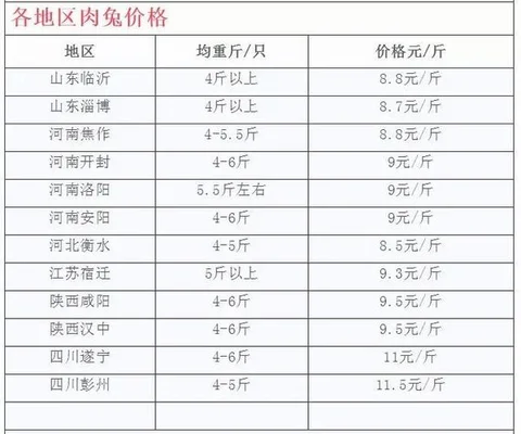 今日獭兔价格：今日獭兔价格在多少钱一只