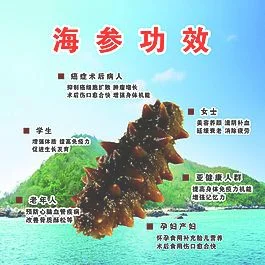 海参的营养价值和功效