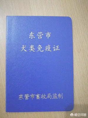 宠物狗的狂犬疫苗用年年打还是打一年就好(狂犬疫苗狗狗每年都要打吗)