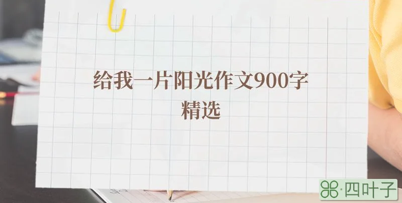 给我一片阳光作文900字精选