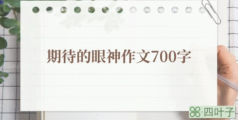 期待的眼神作文700字