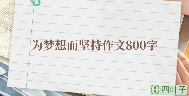 为梦想而坚持作文800字