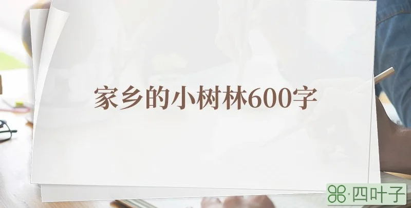 家乡的小树林600字