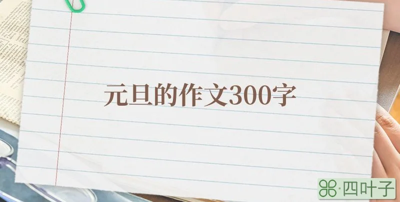 元旦的作文300字