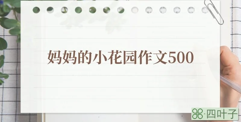 妈妈的小花园作文500