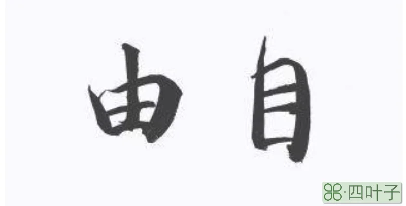 自由如风是什么意思