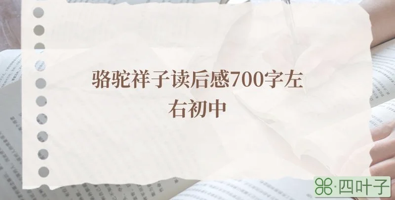 骆驼祥子读后感700字左右初中