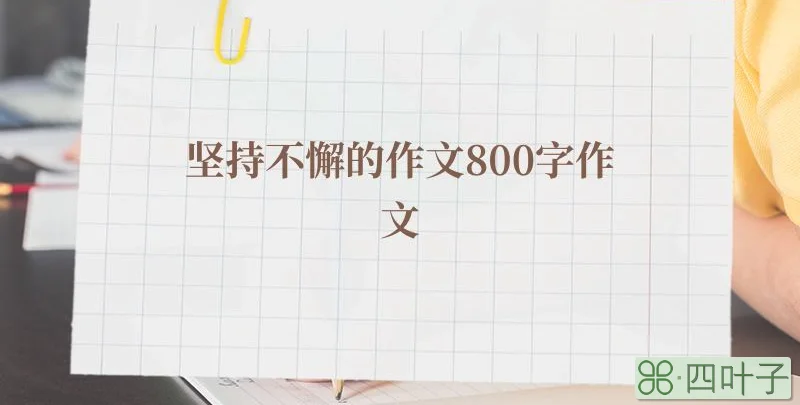 坚持不懈的作文800字作文