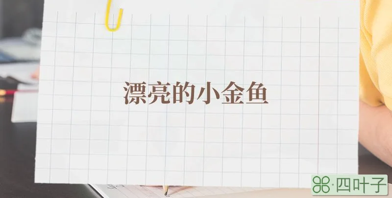 漂亮的小金鱼