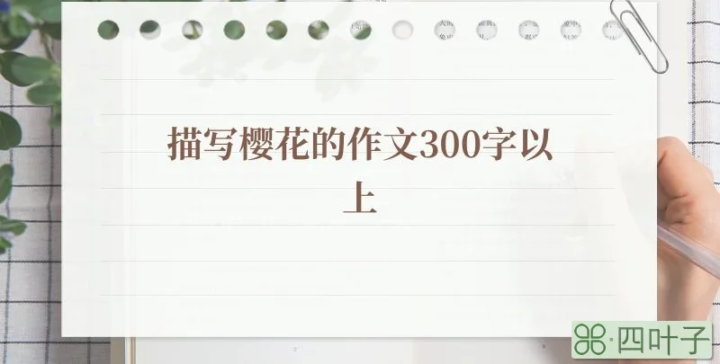 描写樱花的作文300字以上