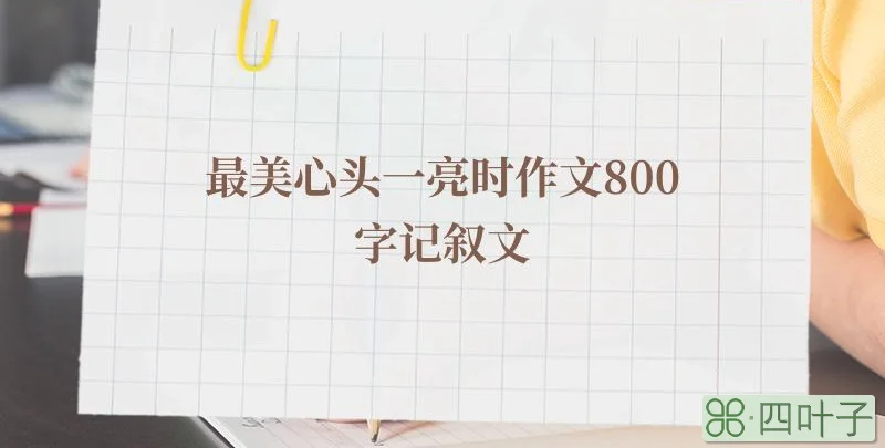 最美心头一亮时作文800字记叙文