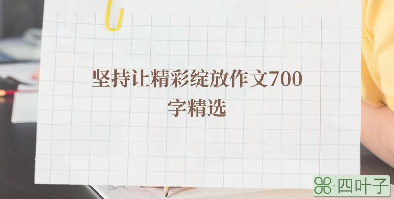 坚持让精彩绽放作文700字精选