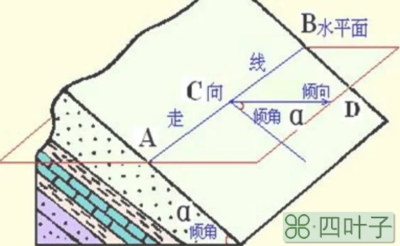 岩层的倾角指的是