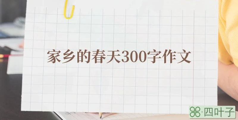 家乡的春天300字作文