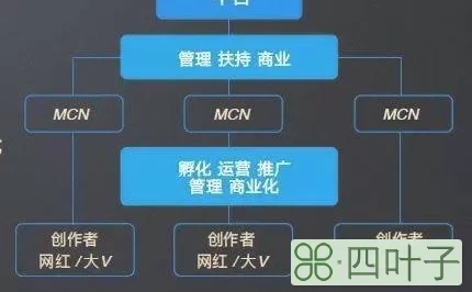 所属机构mcn什么意思