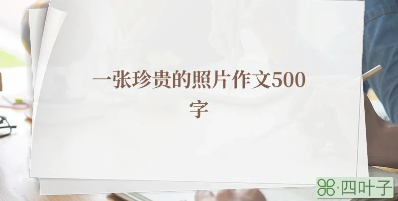 一张珍贵的照片作文500字