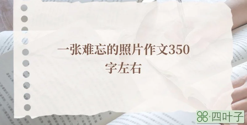一张难忘的照片作文350字左右