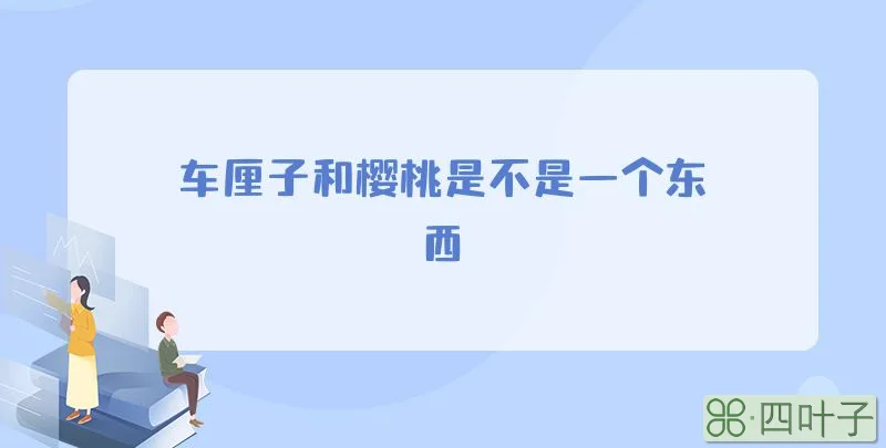 车厘子和樱桃是不是一个东西