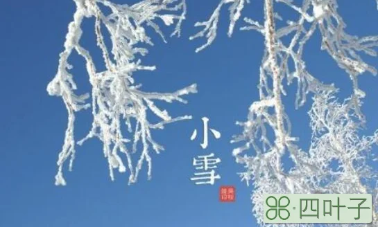 小雪节气童谣