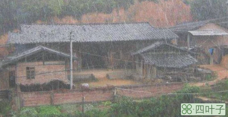 屋漏偏逢连夜雨换成成语