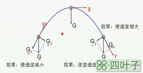 多元线性回归模型的线性是指对什么来说是线性的