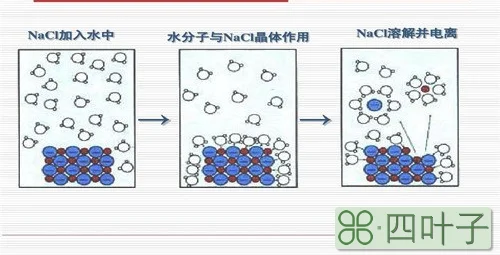 称取邻苯二甲酸氢钾0.4~0.6g是如何决定的