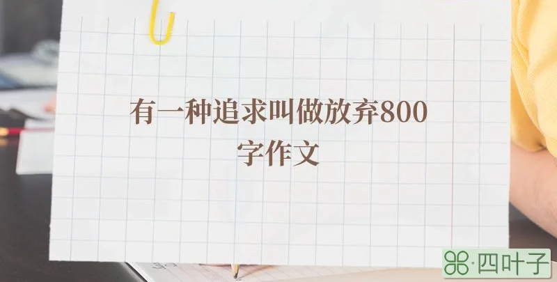 有一种追求叫做放弃800字作文