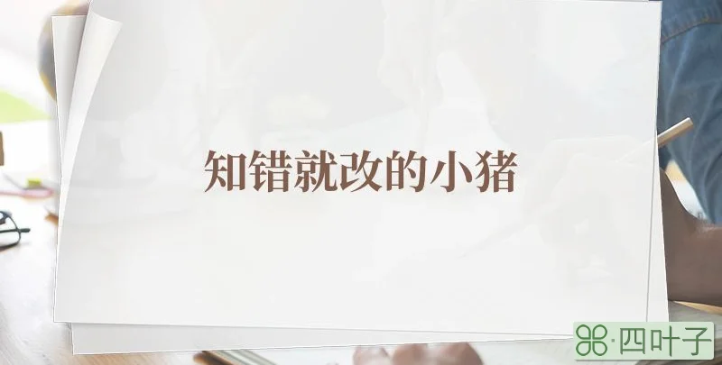 知错就改的小猪