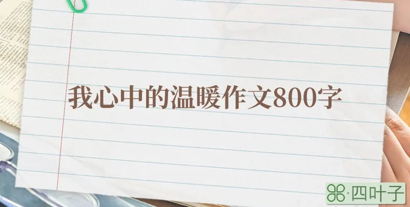 我心中的温暖作文800字