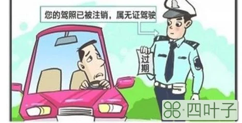 驾照分被扣完了怎么办?