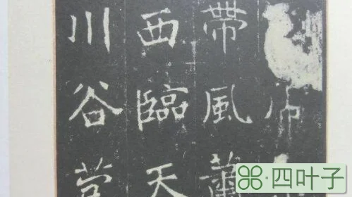 南碑瑰宝分别是哪两个