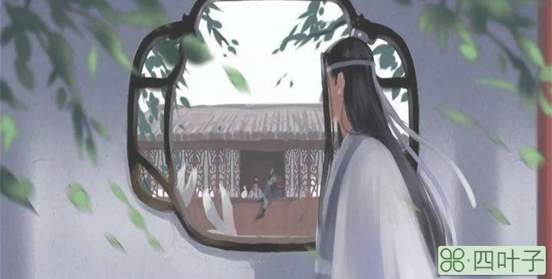 蓝忘机问灵十三载什么意思