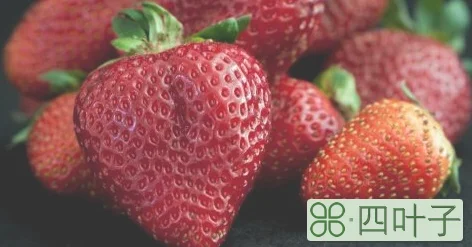 草莓吃多了会胖吗