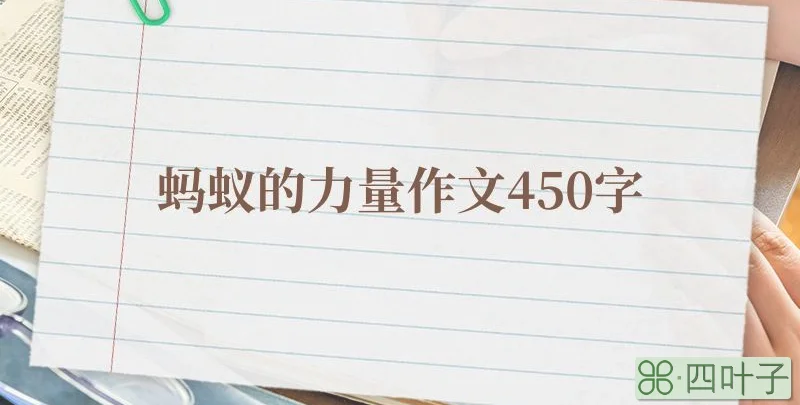 蚂蚁的力量作文450字