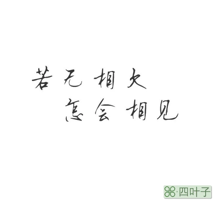 若无相欠怎会相见全文的原文是什么