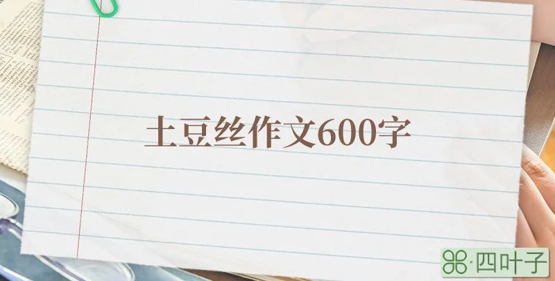 土豆丝作文600字