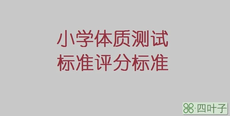 小学体质测试标准评分标准