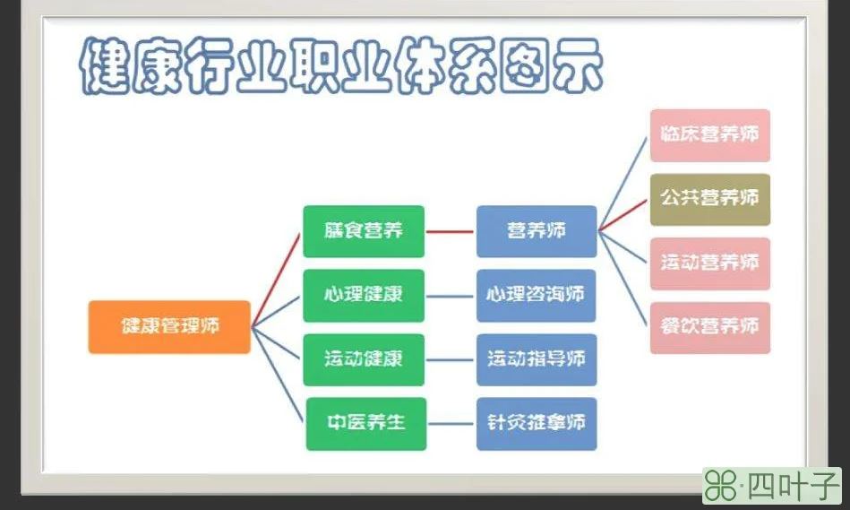 健康管理师和营养师的区别