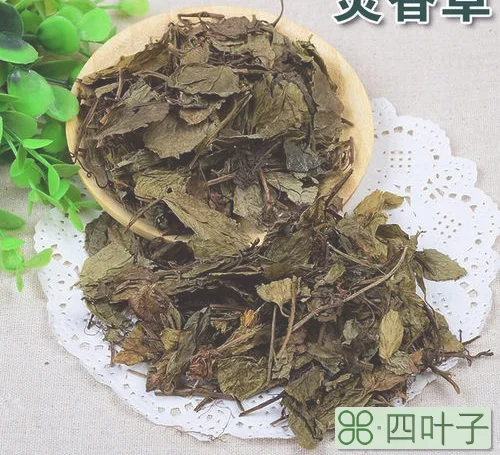 灵香草在卤水中的作用