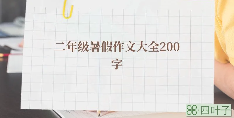 二年级暑假作文大全200字