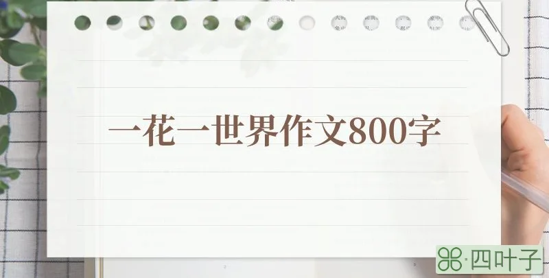 一花一世界作文800字