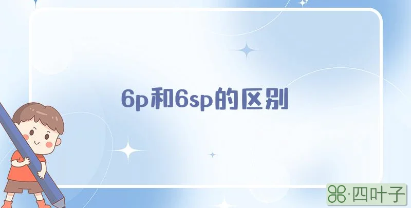 6p和6sp的区别