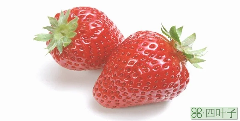 草莓用英语怎么说
