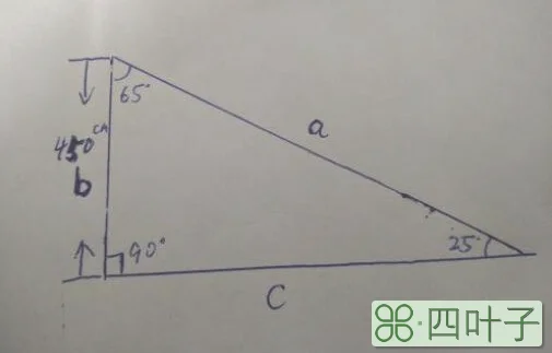 直角三角形的外角可以是锐角吗为什么