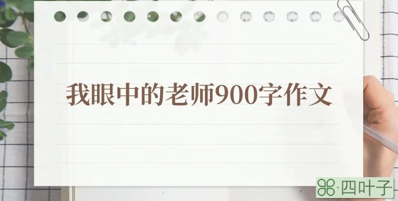 我眼中的老师900字作文