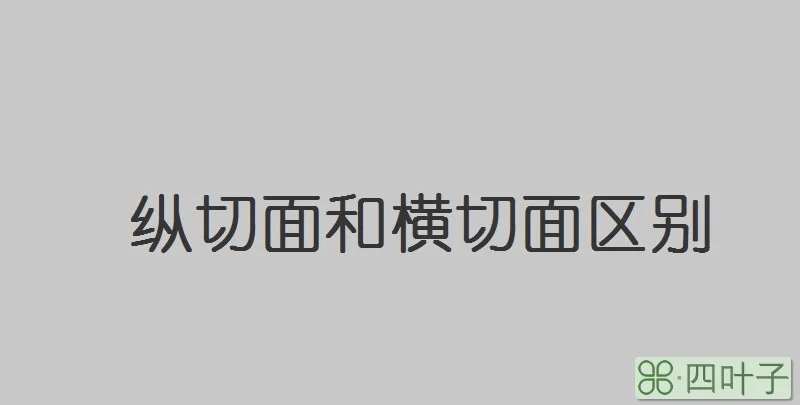 纵切面和横切面区别